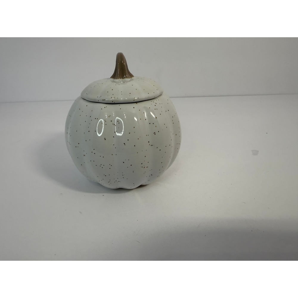 10SS Artisan Collection Speckled White Pumpkin Stoneware Lidded Jar Fall Decor